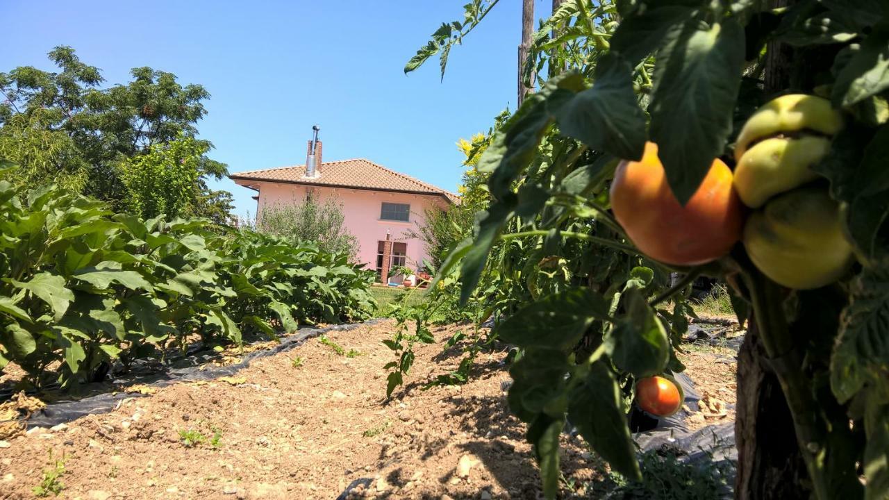 B&B Macchia D'Olmo カプチオ・パエストゥム エクステリア 写真