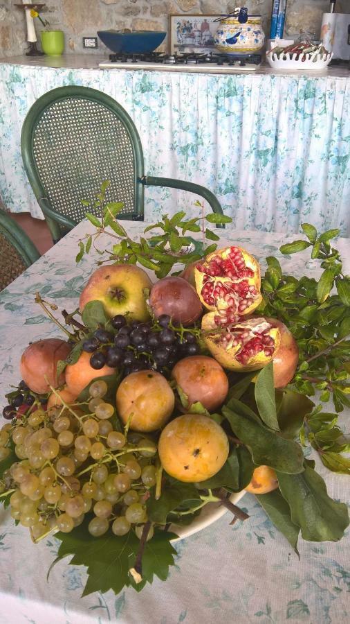 B&B Macchia D'Olmo カプチオ・パエストゥム エクステリア 写真